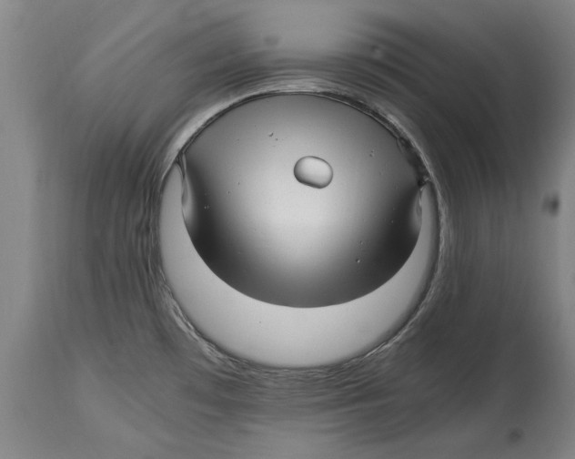 X0000114561481200911161212