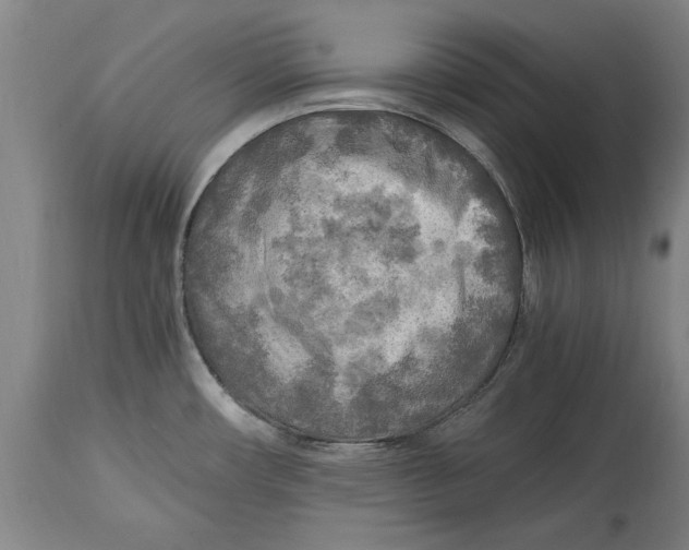 X0000114561482200911161212