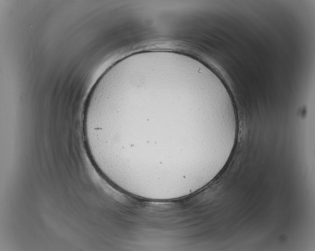 X0000114561483200911161212