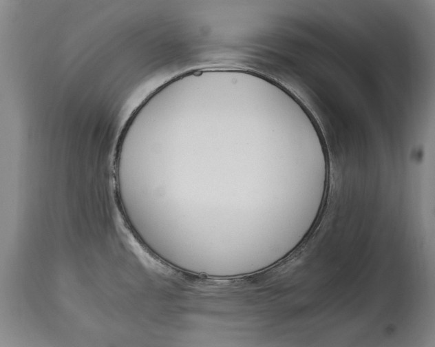 X0000114561485200911161212