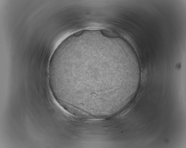 X0000114561487200911161212