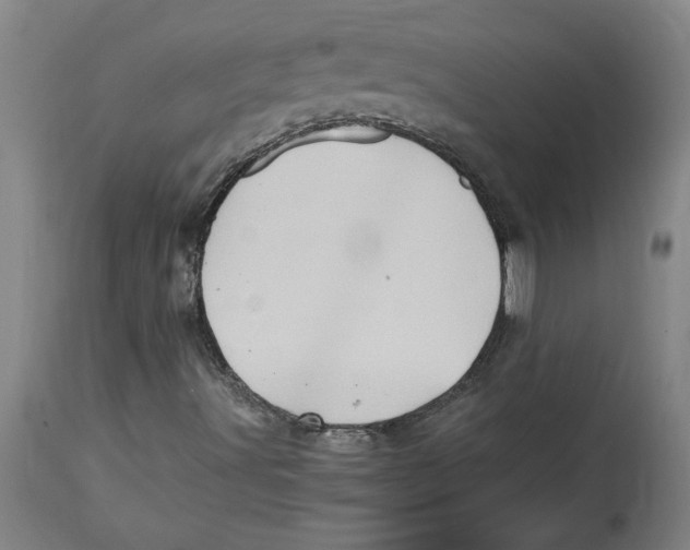 X0000114561491200911161211