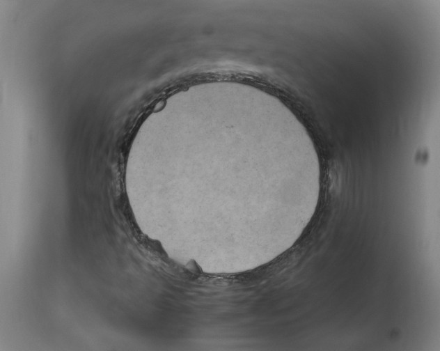 X0000114561493200911161211