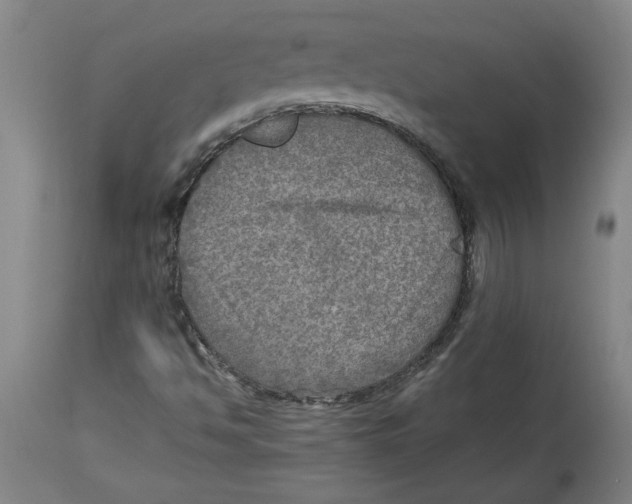 X0000114561494200911161211