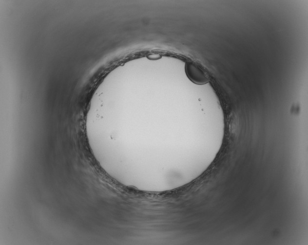 X0000114561495200911161211