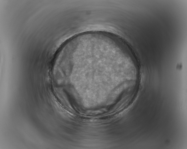 X0000114561497200911161211