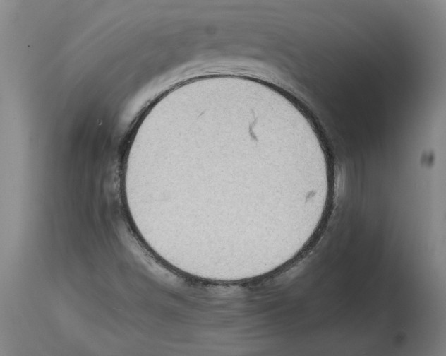 X0000114561498200911161211