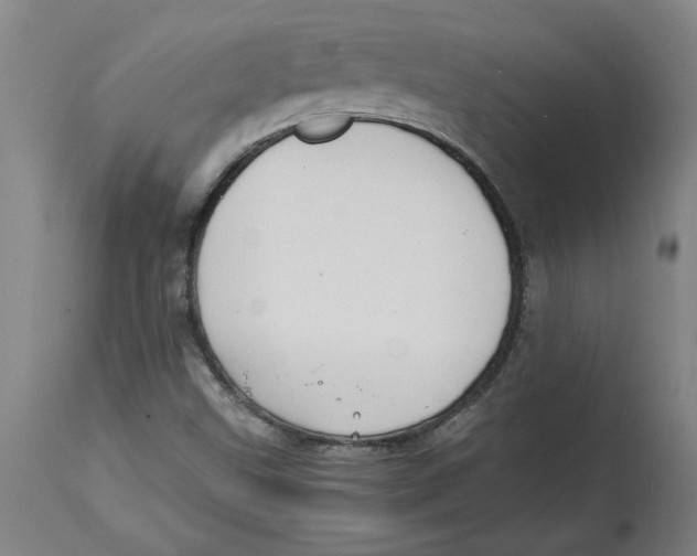 X0000114561499200911161211