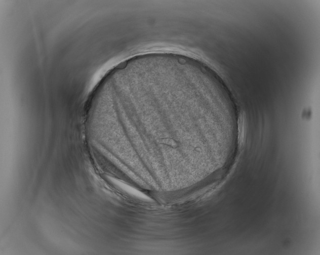X0000114561501200911161211