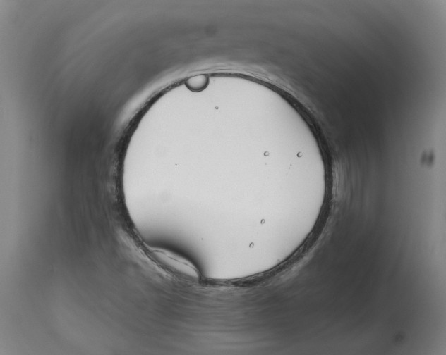 X0000114561502200911161211