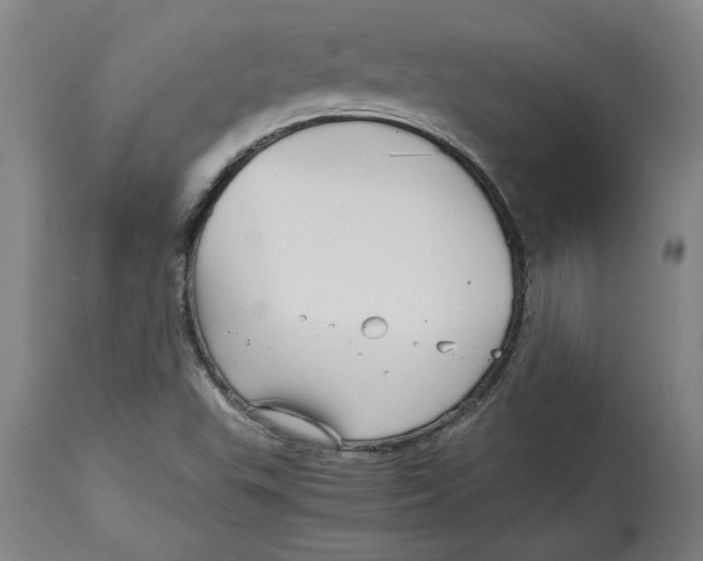X0000114561503200911161211