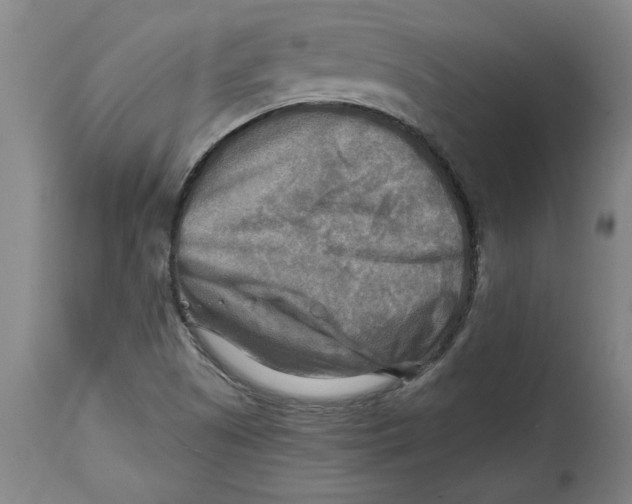 X0000114561505200911161211