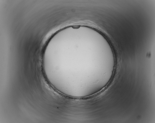 X0000114561506200911161211