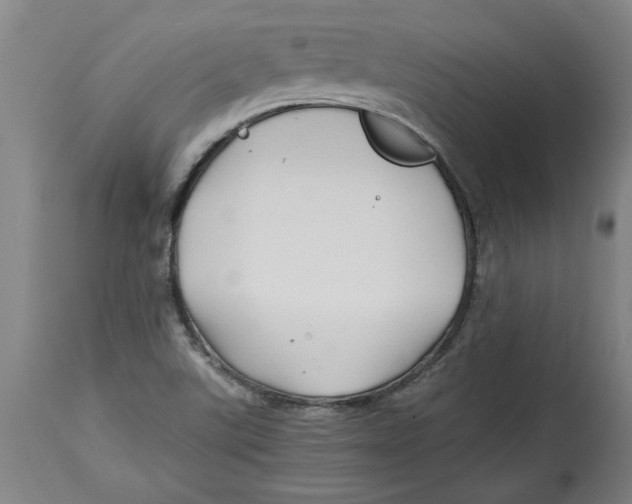 X0000114561507200911161211