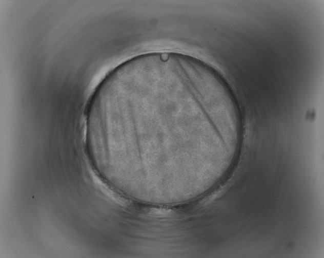 X0000114561509200911161211