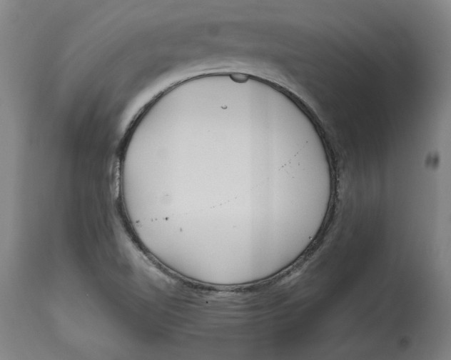X0000114561510200911161211