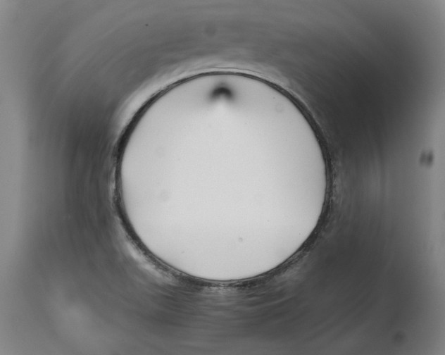 X0000114561511200911161211