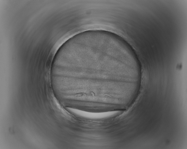 X0000114561513200911161211