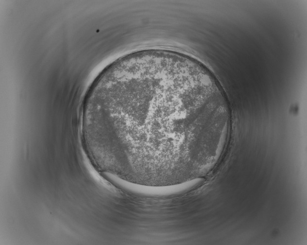 X0000114561515200911161212