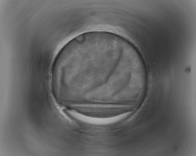 X0000114561517200911161212