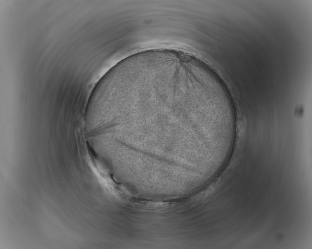 X0000114561521200911161212