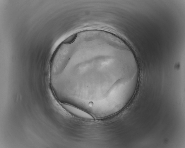 X0000114561522200911161212