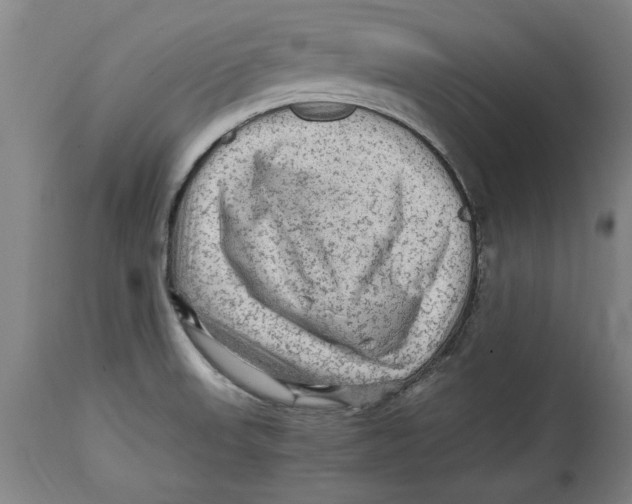 X0000114561523200911161212