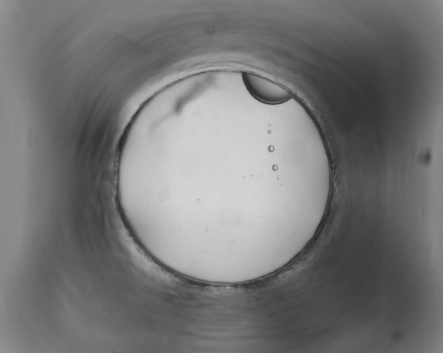 X0000114561526200911161212