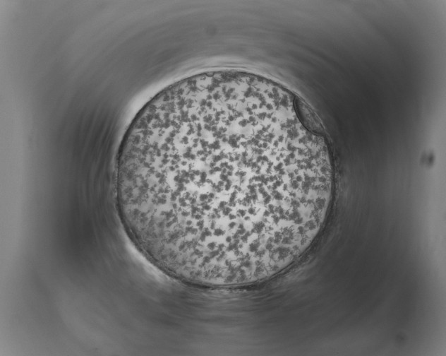 X0000114561527200911161212