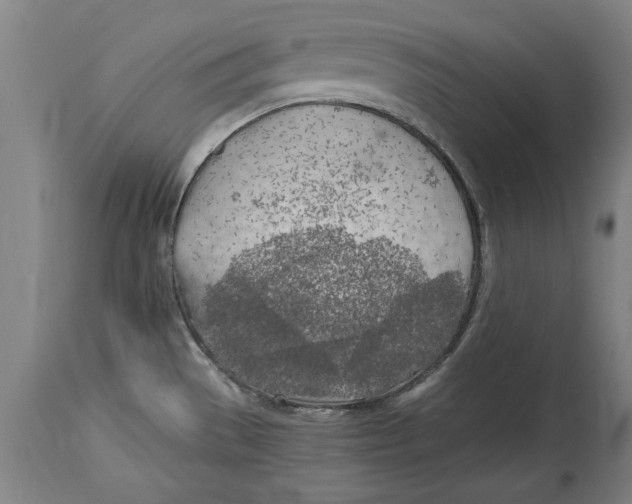 X0000114561529200911161212