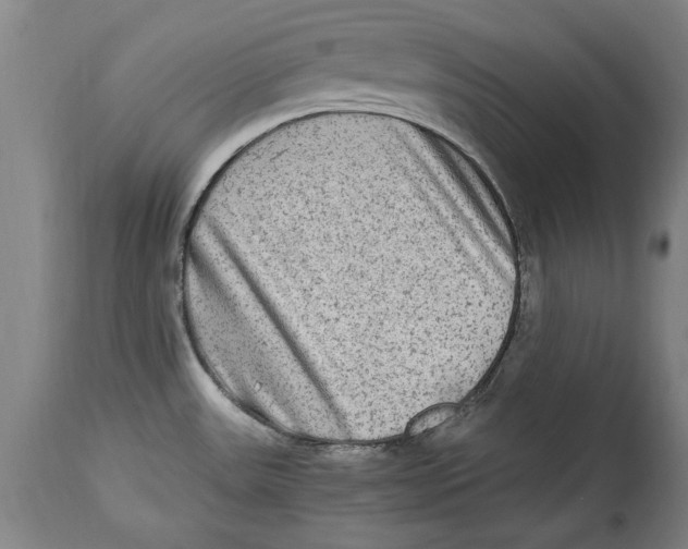 X0000114561531200911161212