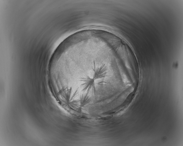 X0000114561533200911161212
