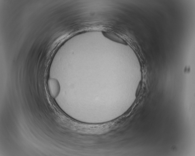 X0000114560001200911301259