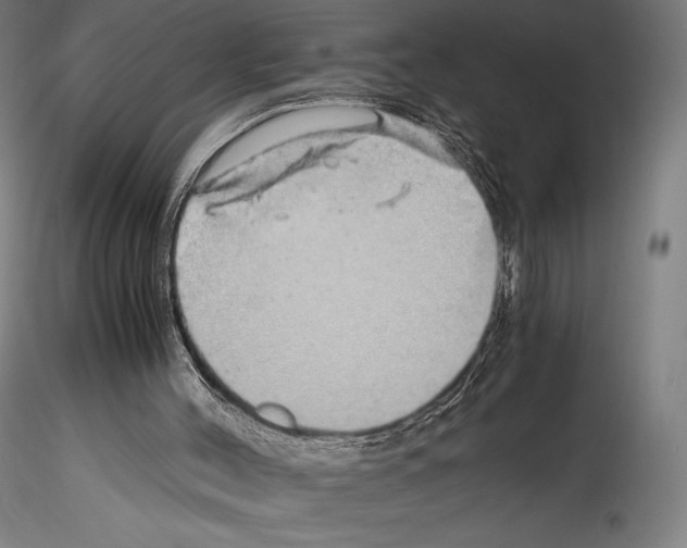 X0000114560004200911301259