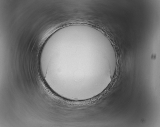 X0000114560005200911301259