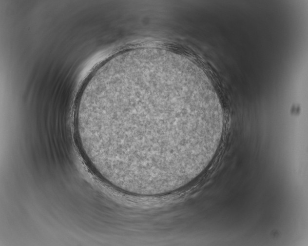 X0000114560006200911301259
