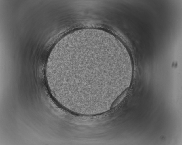 X0000114560009200911301259