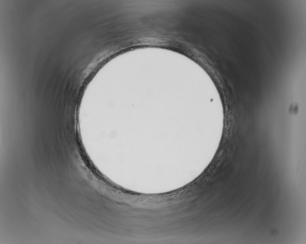 X0000114560011200911301259
