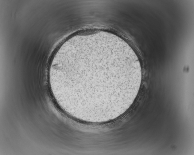 X0000114560012200911301259