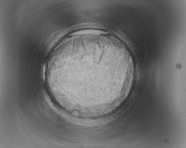 X0000114560014200911301259