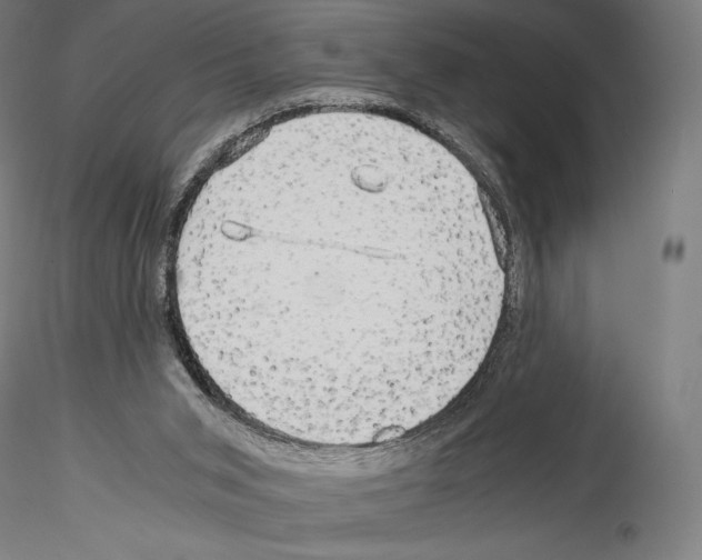 X0000114560015200911301259