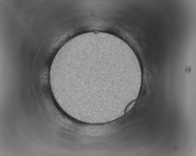 X0000114560017200911301259