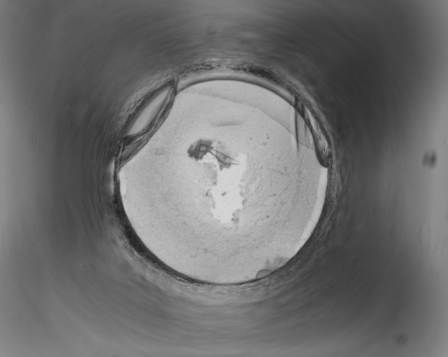 X0000114560019200911301259