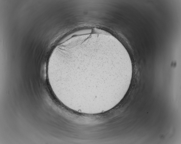 X0000114560020200911301259