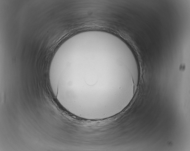 X0000114560021200911301259