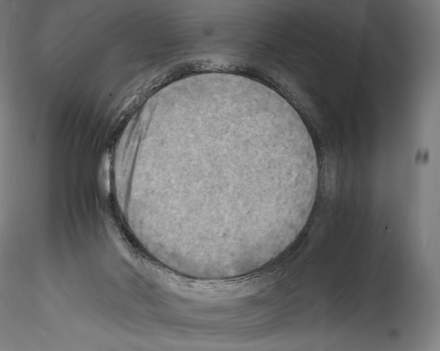 X0000114560022200911301259
