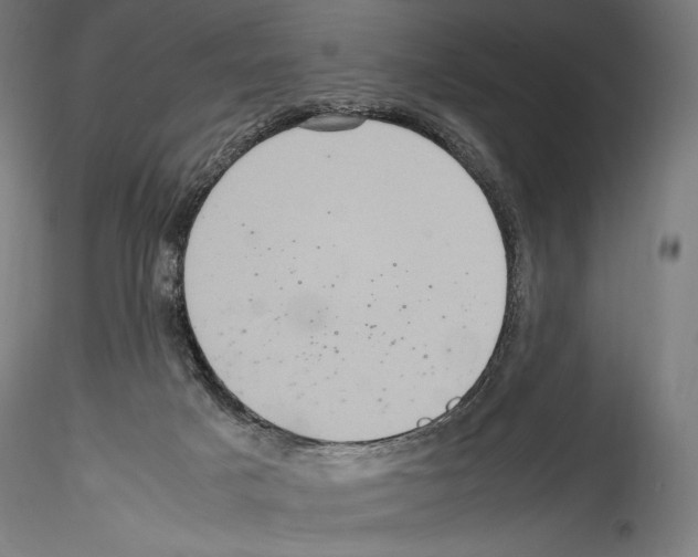 X0000114560025200911301259
