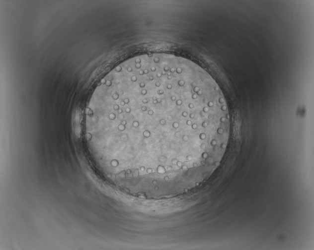 X0000114560026200911301259