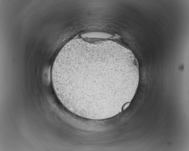 X0000114560028200911301259