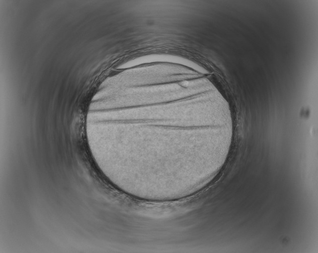 X0000114560029200911301259